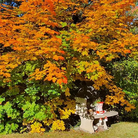 Splendide Отель Кран-Монтана