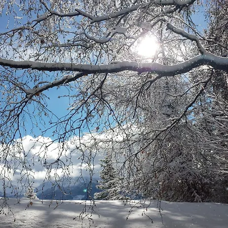 فندق Splendide كرانز مونتانا