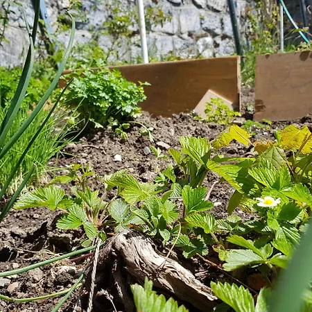 Splendide 3* كرانز مونتانا