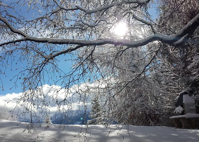 Hotel Splendide Crans-Montana