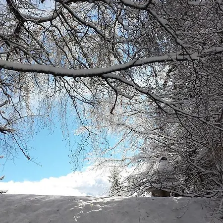 Splendide Crans-Montana