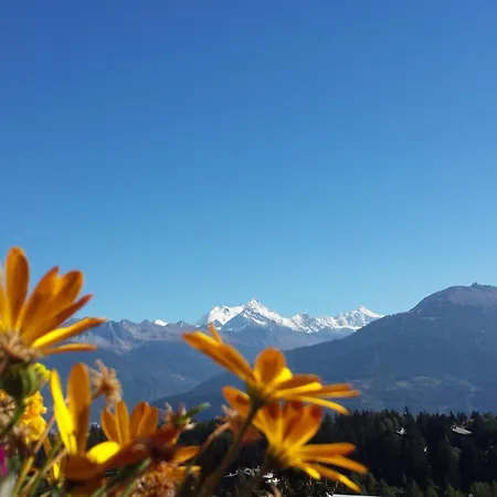 Splendide 3*