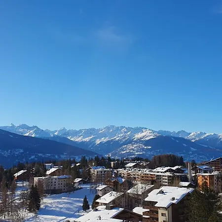 Splendide 3*